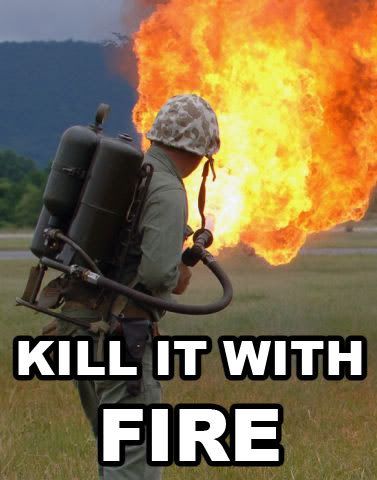 Kill it with Fire Pictures, Images and Photos