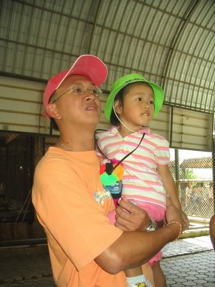 ฟัน จรเข้