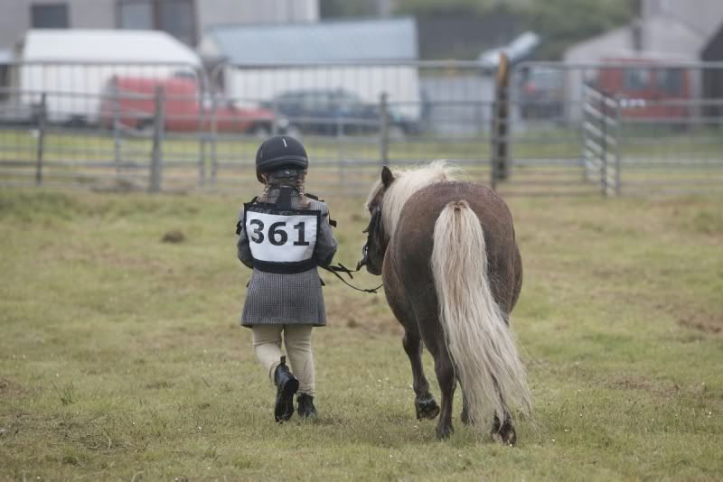 Plodding on! Voe Show 2010