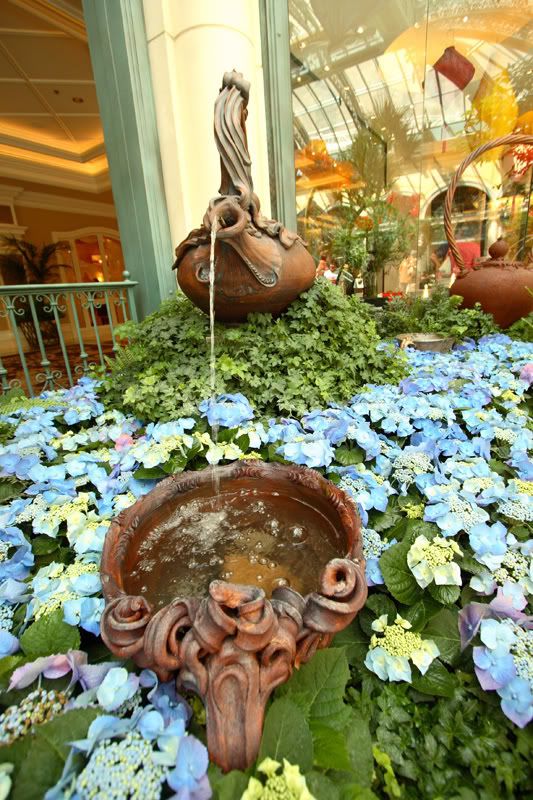 IMAGE: http://i42.photobucket.com/albums/e302/Off76/Las%20Vegas%20Apr%2007/LAS_042807_0204_resize.jpg