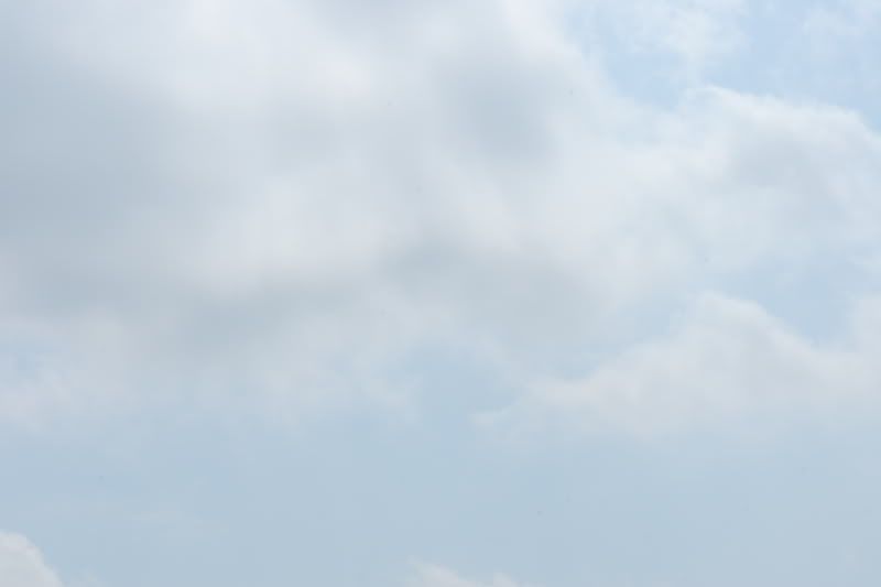 IMAGE: http://i42.photobucket.com/albums/e302/Off76/Miscellaneous/sensor_cleaned.jpg
