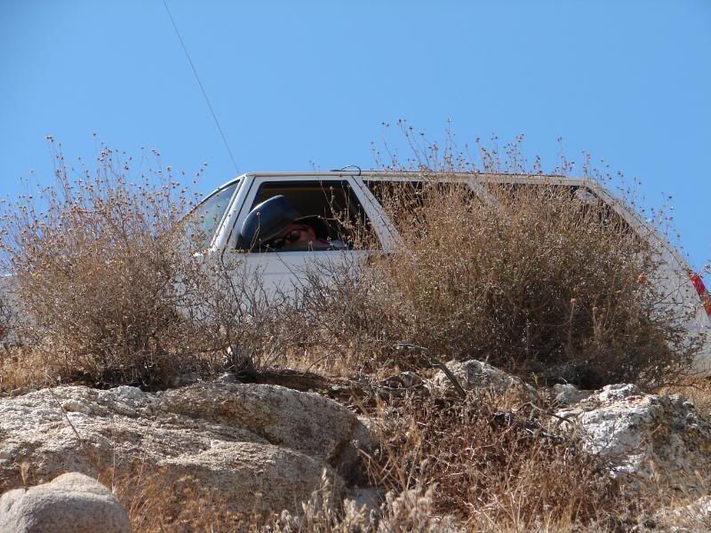 DSC00096-2.jpg