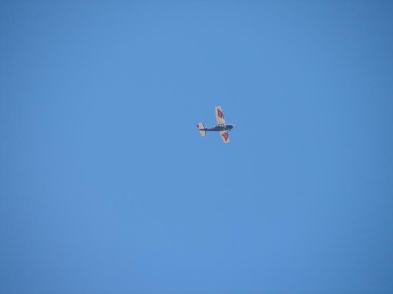 DSC00114-1.jpg