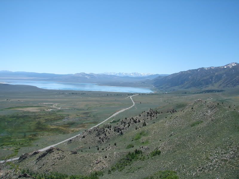 DSC00207-1.jpg