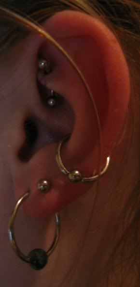 Ignore the blood, the rook and tragus are fresh.
