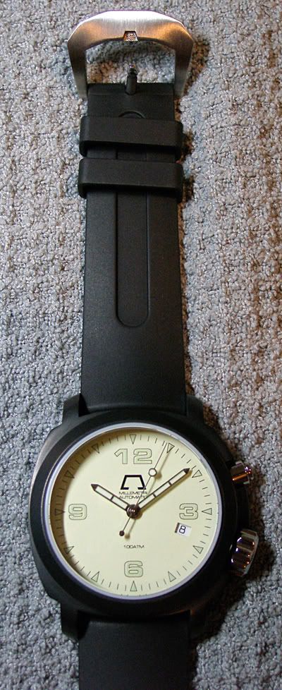 http://i42.photobucket.com/albums/e304/ColMiller/Anonimo/Hi-Dive/Hybridstrapandbuckle.jpg