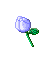 grow