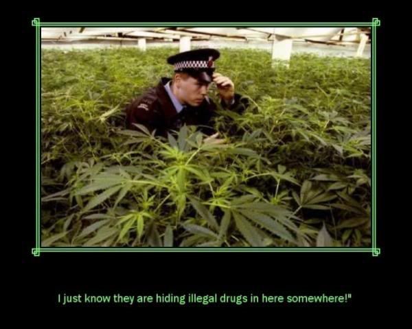 Forum Image: http://i42.photobucket.com/albums/e305/Rbz879/De-motivational%20Posters/25arz36.jpg