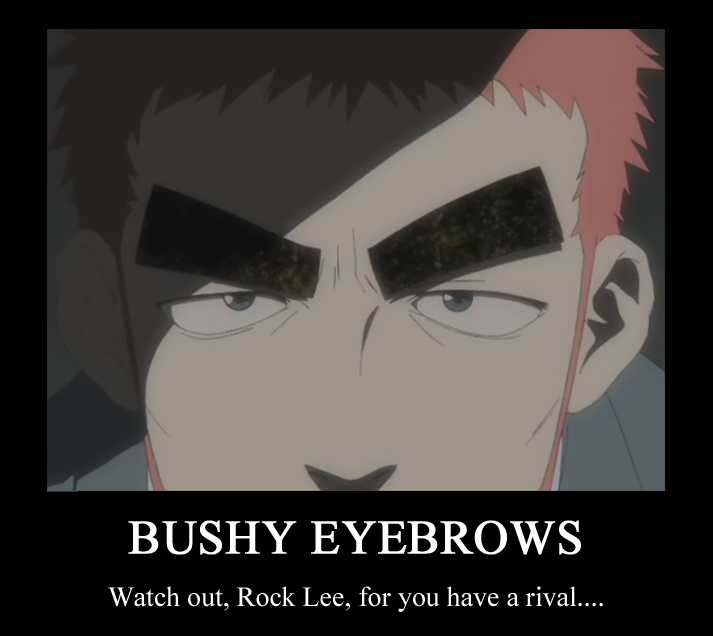 Forum Image: http://i42.photobucket.com/albums/e305/Rbz879/De-motivational%20Posters/BushyEyebrows.png