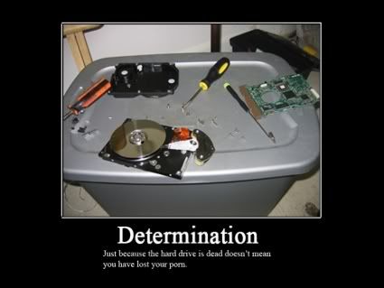 Forum Image: http://i42.photobucket.com/albums/e305/Rbz879/De-motivational%20Posters/HardDrive-deaddontshow.jpg