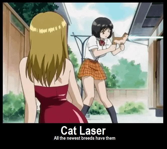 Forum Image: http://i42.photobucket.com/albums/e305/Rbz879/De-motivational%20Posters/LazerKittencopy.jpg