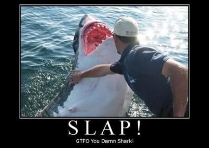 Forum Image: http://i42.photobucket.com/albums/e305/Rbz879/De-motivational%20Posters/S_L_A_P.jpg