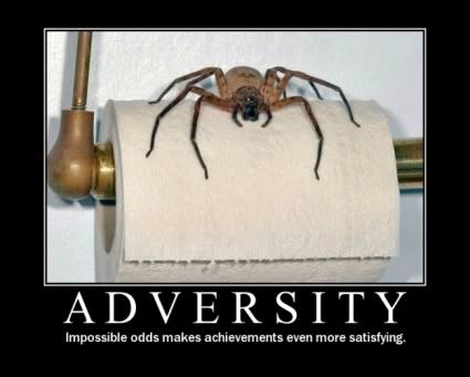 Forum Image: http://i42.photobucket.com/albums/e305/Rbz879/De-motivational%20Posters/adversity01.jpg