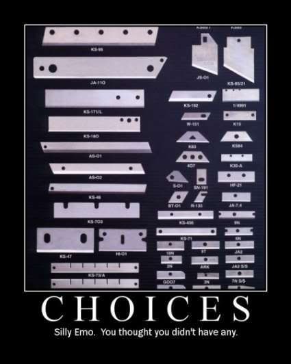 Forum Image: http://i42.photobucket.com/albums/e305/Rbz879/De-motivational%20Posters/choices.jpg