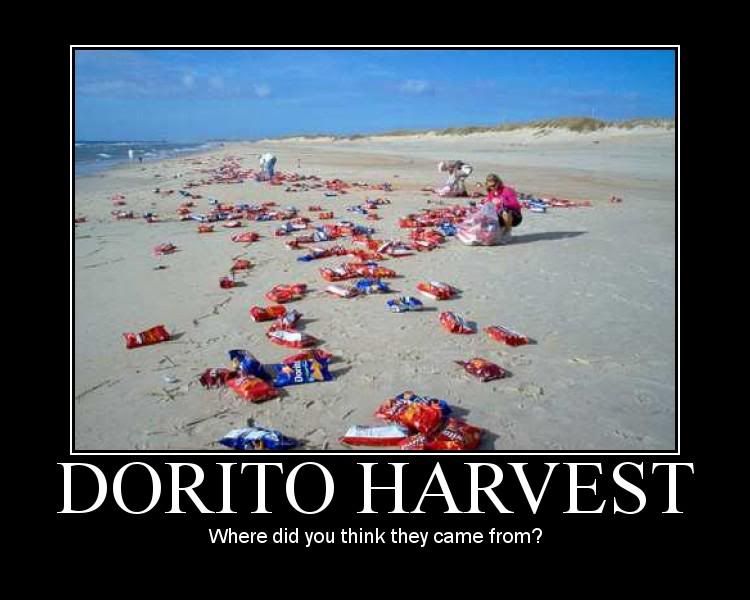 Forum Image: http://i42.photobucket.com/albums/e305/Rbz879/De-motivational%20Posters/doritoharvest.jpg