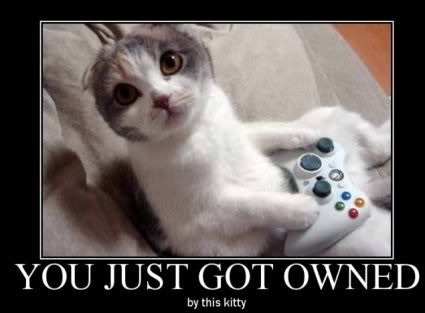 Forum Image: http://i42.photobucket.com/albums/e305/Rbz879/De-motivational%20Posters/kittyown.jpg