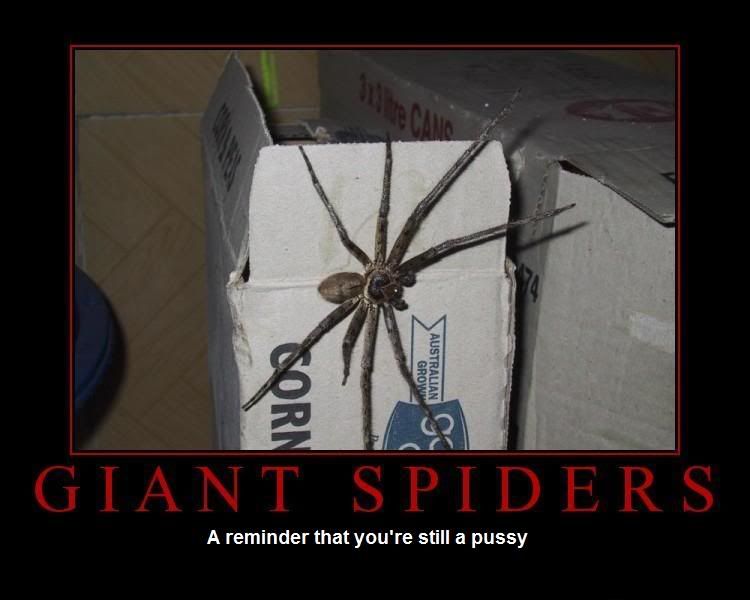 Forum Image: http://i42.photobucket.com/albums/e305/Rbz879/De-motivational%20Posters/spiders.jpg