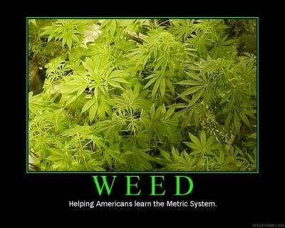 Forum Image: http://i42.photobucket.com/albums/e305/Rbz879/De-motivational%20Posters/weed-motivational-poster.jpg