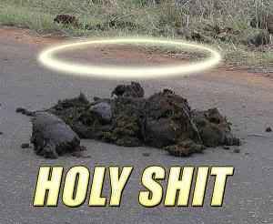 Forum Image: http://i42.photobucket.com/albums/e305/Rbz879/Thread%20Bombers/holy_shit.jpg