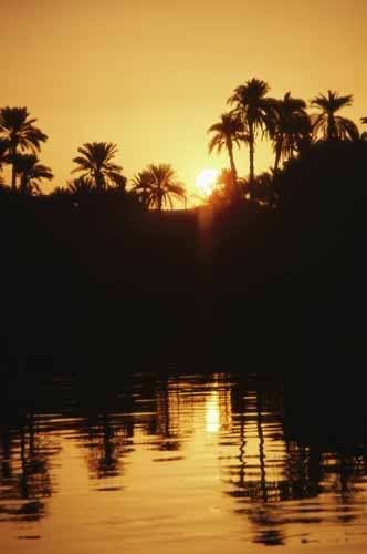 niLe River Egypt Pictures, Images and Photos
