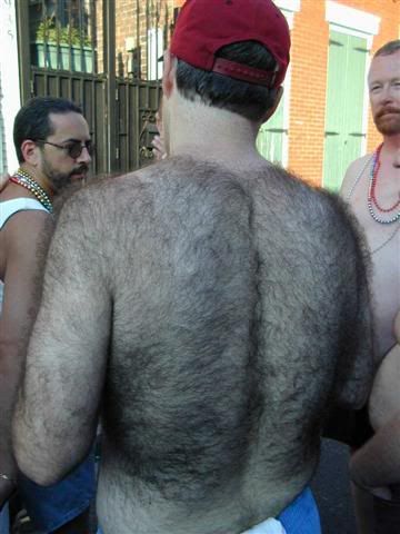 hairyback.jpg