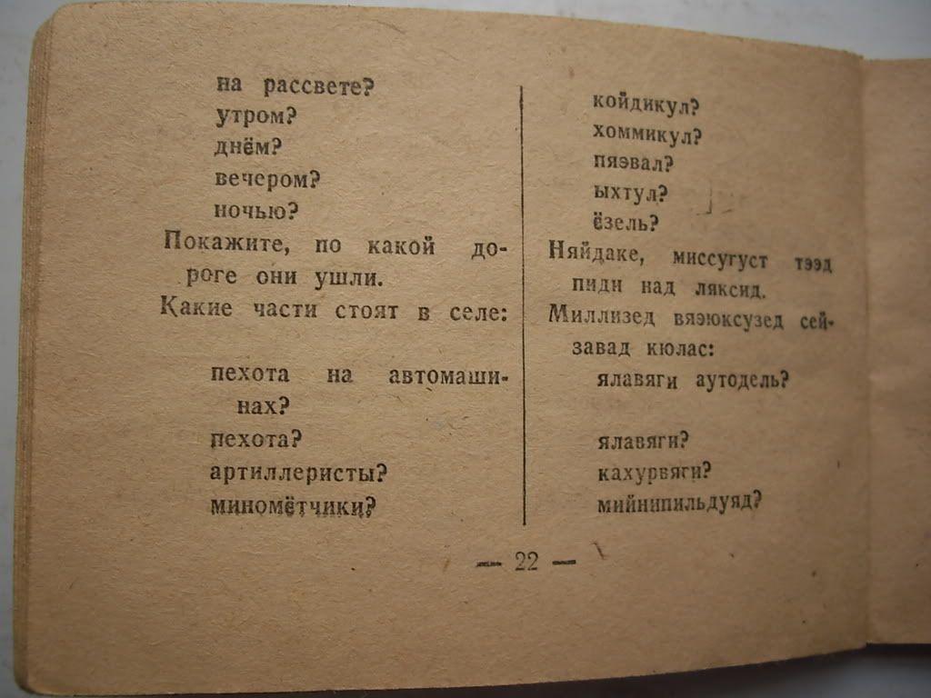 Pilt