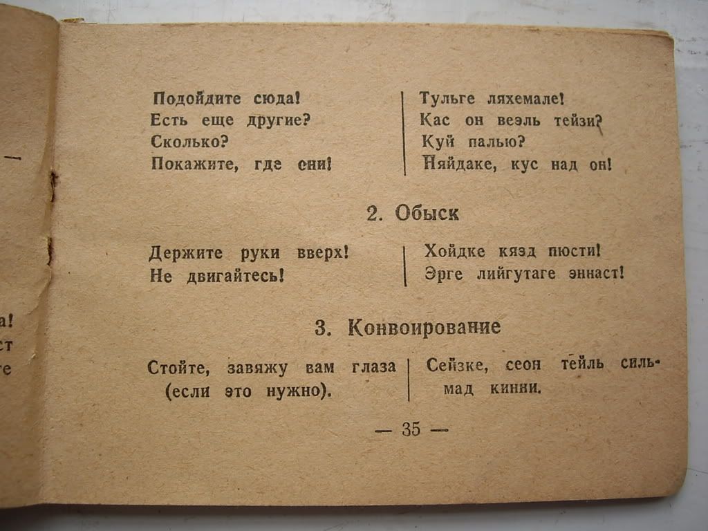 Pilt