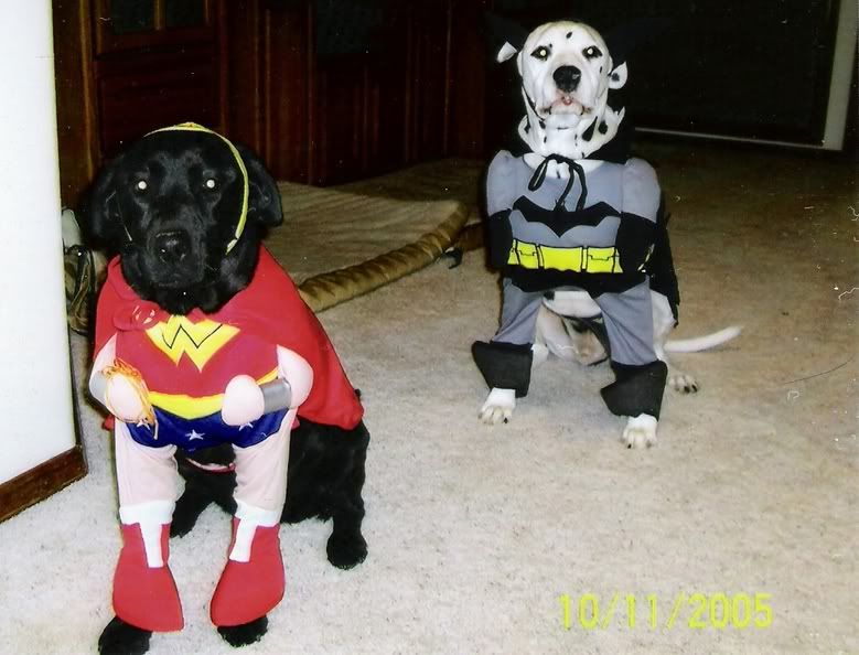 My dogs in their halloween costumes Pictures, Images and Photos