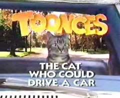 TOONCES.jpg