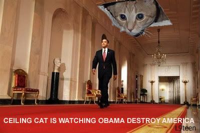 Ceiling Cat Obama photo ceilingcatobama.jpg