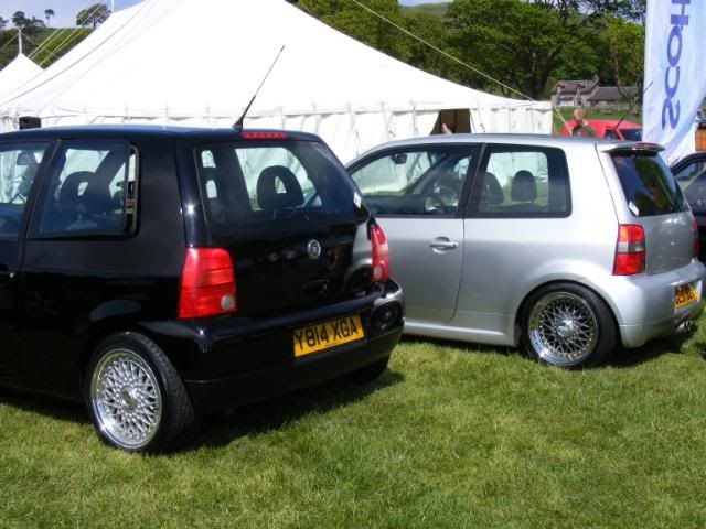 VolksflingBiggar0925.jpg
