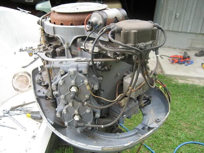 64b.jpg