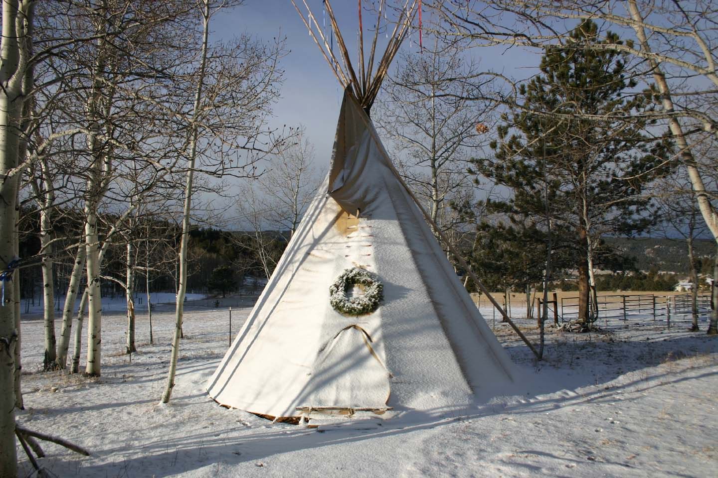 Christmas TiPi Pictures, Images and Photos