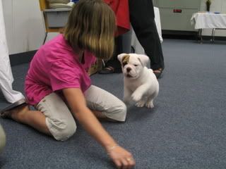 Samantha &amp; Tank