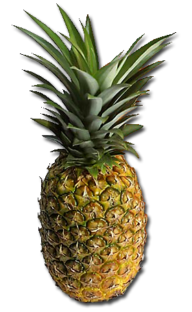 _______________48a760abd340f.png