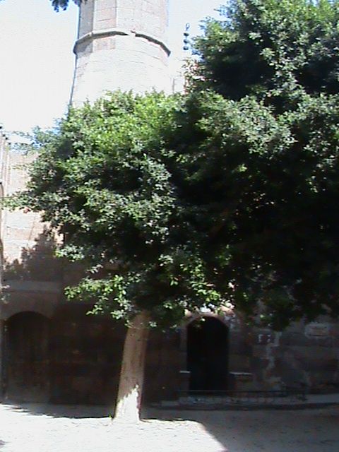 صورة