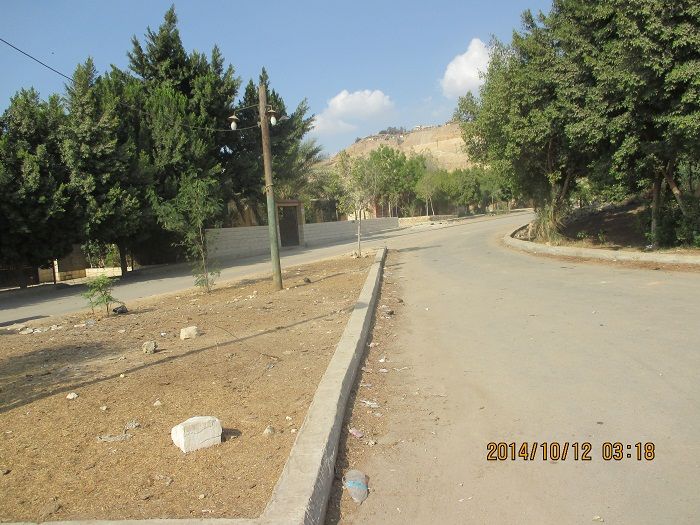 صورة