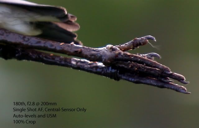 IMAGE: http://i42.photobucket.com/albums/e316/GeeJayW/Sigma%20Zoom/HeronCrop.jpg