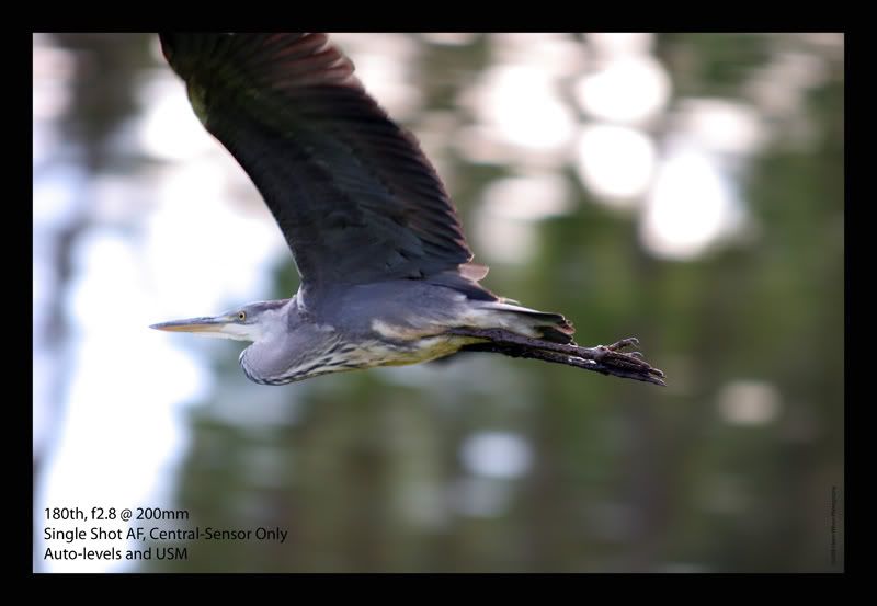 IMAGE: http://i42.photobucket.com/albums/e316/GeeJayW/Sigma%20Zoom/HeronFullFrame.jpg