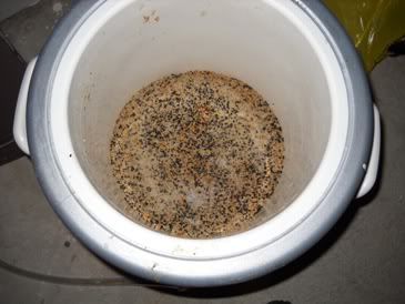 Spent Grains