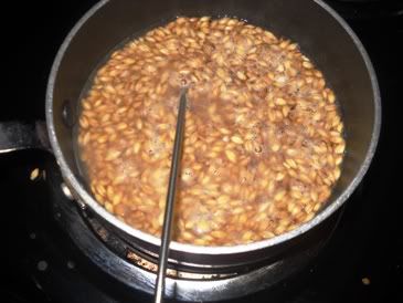 Mashing in the pot
