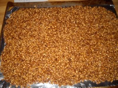 Drying the grain