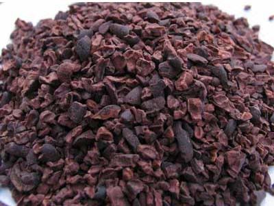 Cacao Nibs
