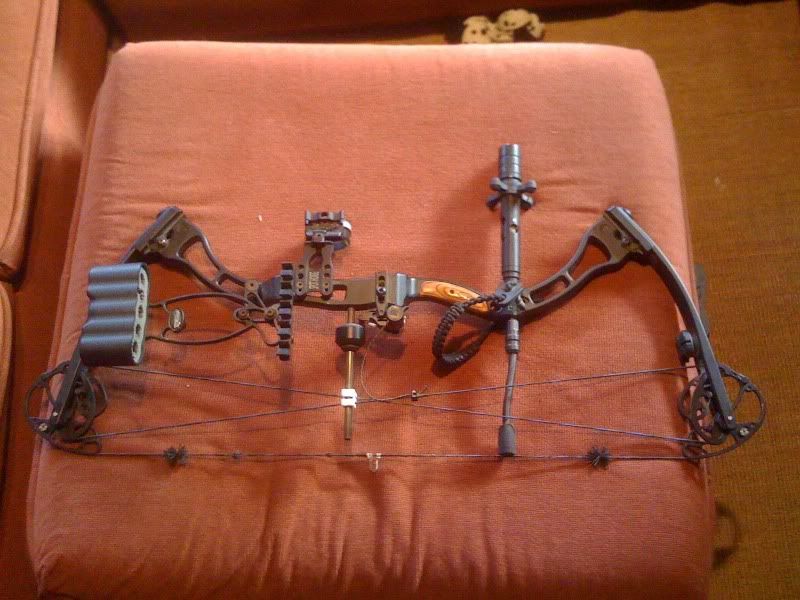 Elite Z28 pics please..... Archery Talk Forum