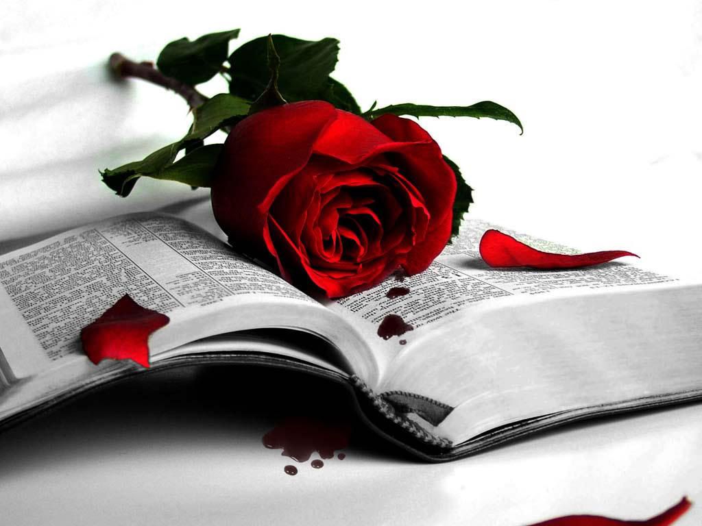 rose_book.jpg