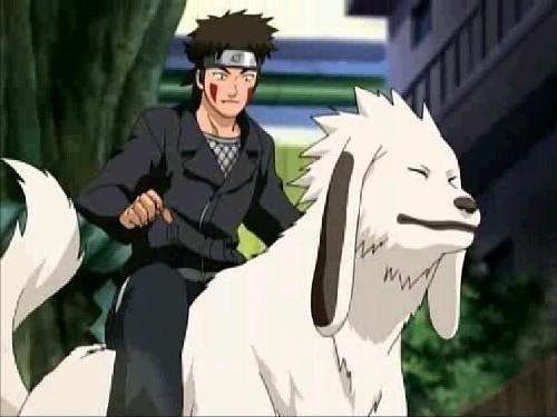 kiba Pictures, Images and Photos