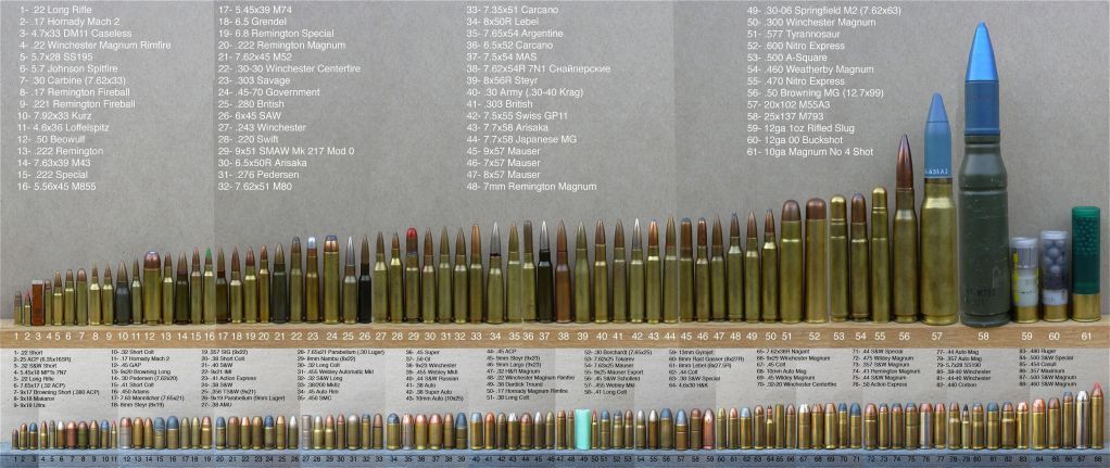 Complete-Rifle-Ammunition-Guide-Comparisom-1.jpg
