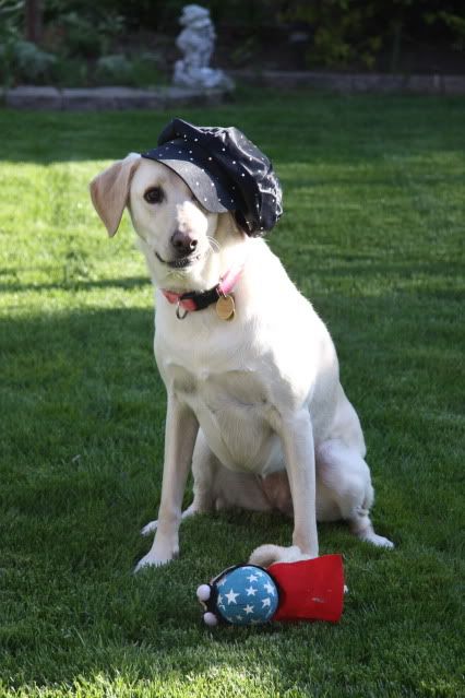 IMAGE: http://i42.photobucket.com/albums/e317/kyen_2008/2009_0519Image0264.jpg