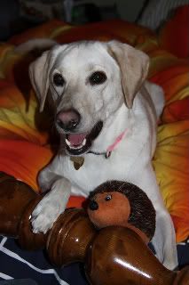 IMAGE: http://i42.photobucket.com/albums/e317/kyen_2008/IMG_0204-1.jpg