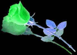 th_1colorchangingroses.gif
